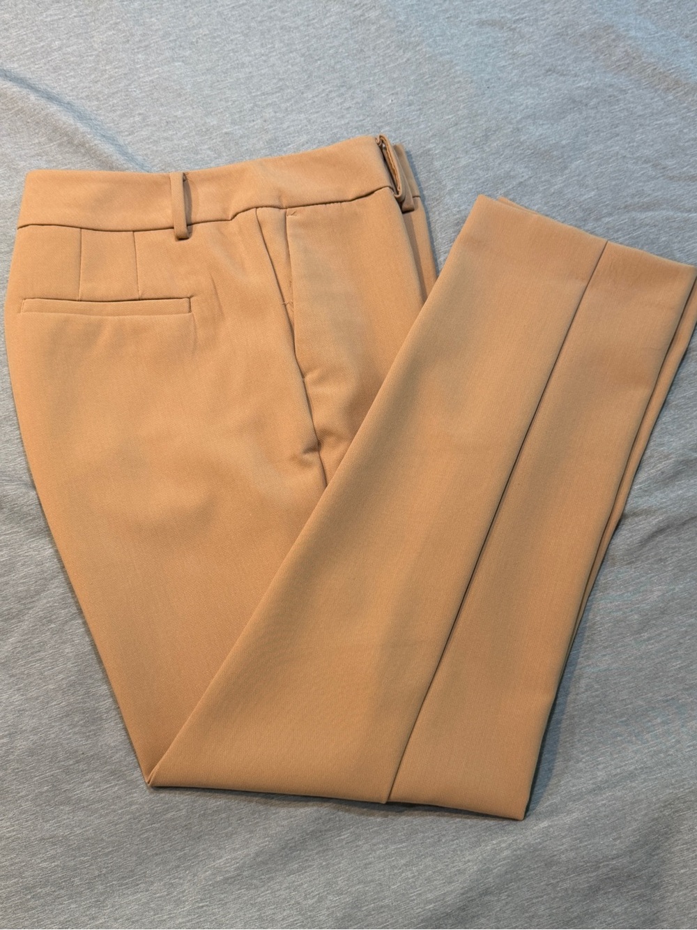 Ann Taylor Tailored Trousers in Camel